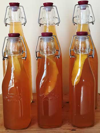 Water kefir, 2nd ferment