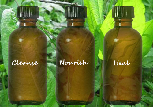 Medical Herbalist tradition: Cleanse, nourish and heal