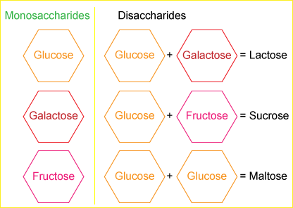 Simple Carbohydrates