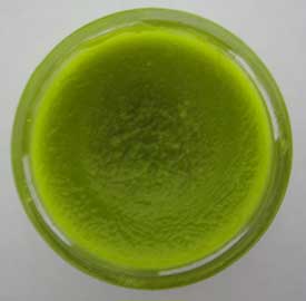 chickweed salve