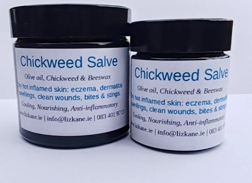 Chickweed Salve