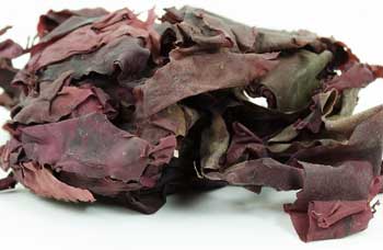 dulse seaweed