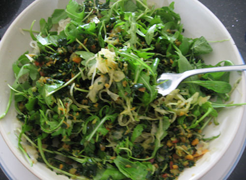 green salad, fermented vegetables