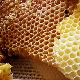 honeycomb