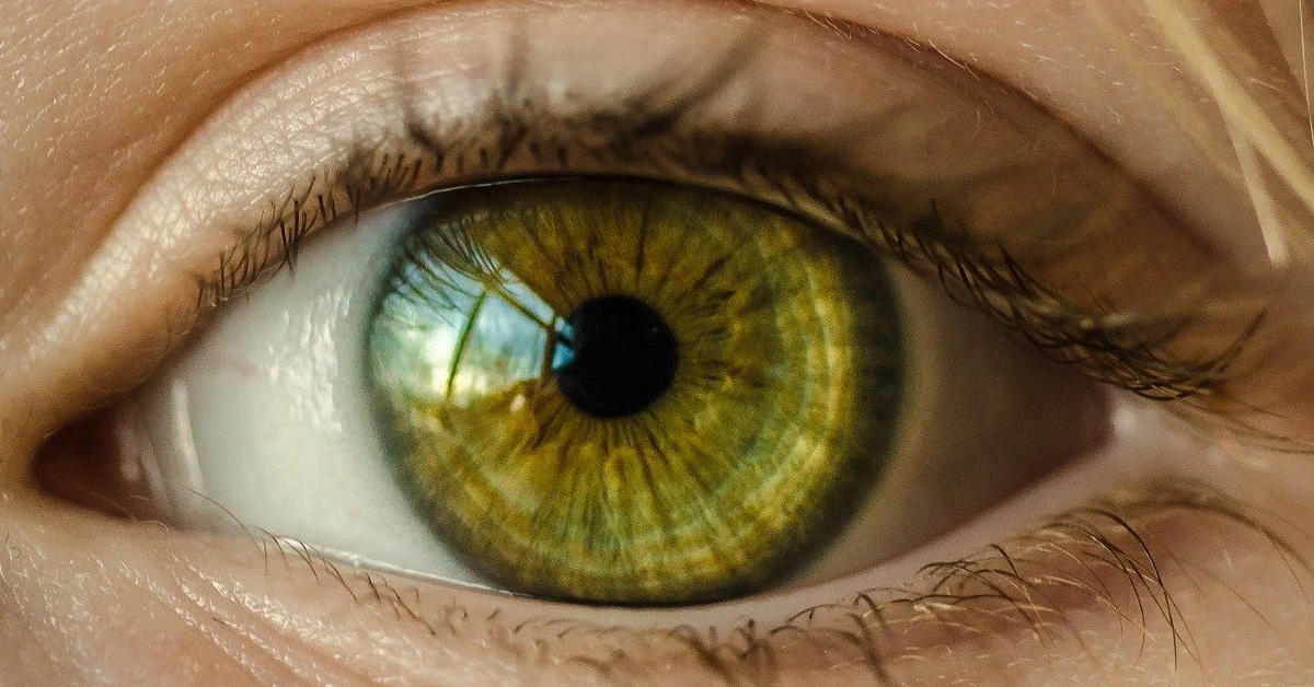 about iridology