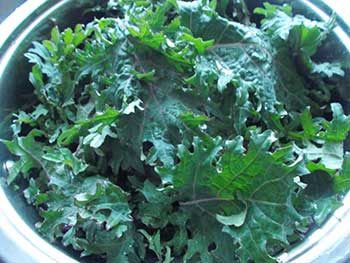 kale salad