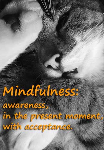 mindfulness: acceptance
