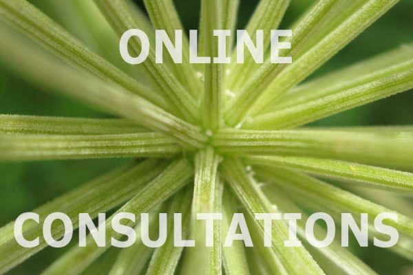 online consultations