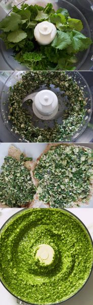 parsley and coriander pesto