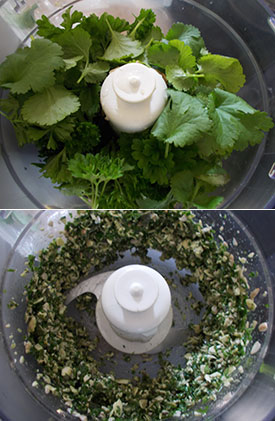 parsley and coriander pesto