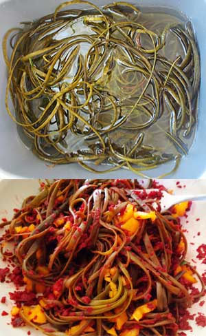 sea spaghetti