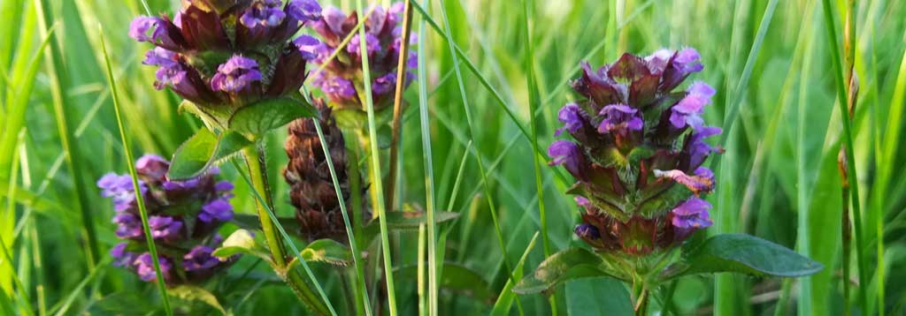 self-heal