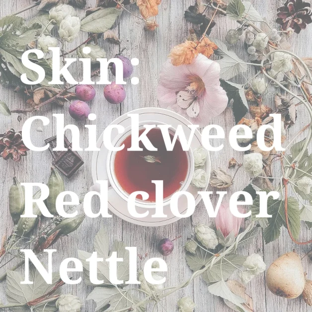 skin: chickweed, red clover, nettle