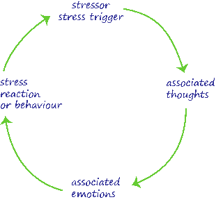Stress cycle