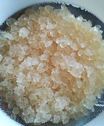 water kefir grains