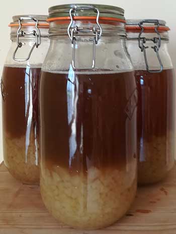 soaking water kefir grains